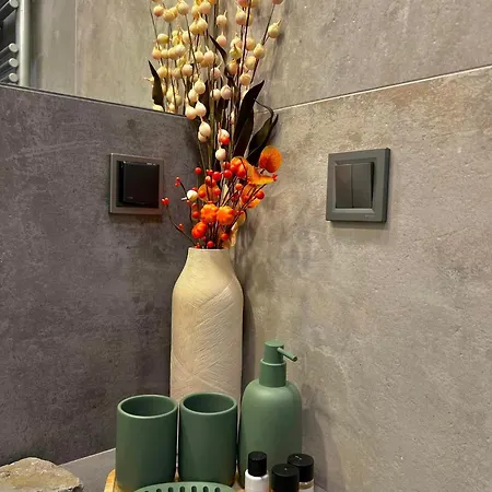 Lts Rent Luxury&comfortable Etno Loft Old Town Free Parking Apartmán *