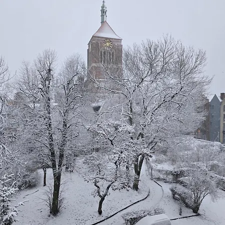 公寓 Lts Rent Luxury&comfortable Etno Loft Old Town Free Parking *