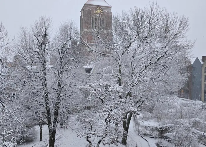 Lejlighed Etno Loft Old Town Free Parking By Lts Rent Luxury&comfortable *