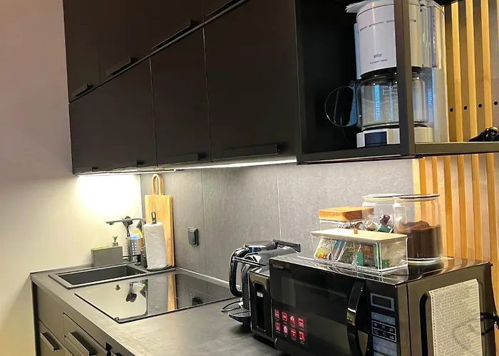 Etno Loft Old Town Free Parking By Lts Rent Luxury&comfortable * Gdańsk