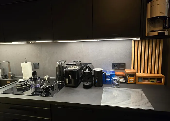 Etno Loft Old Town Free Parking By Lts Rent Luxury&Comfortable アパート グダニスク